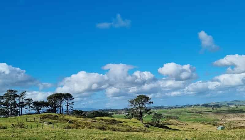 455 Mount Wesley Coast Road (Lot 2), Dargaville