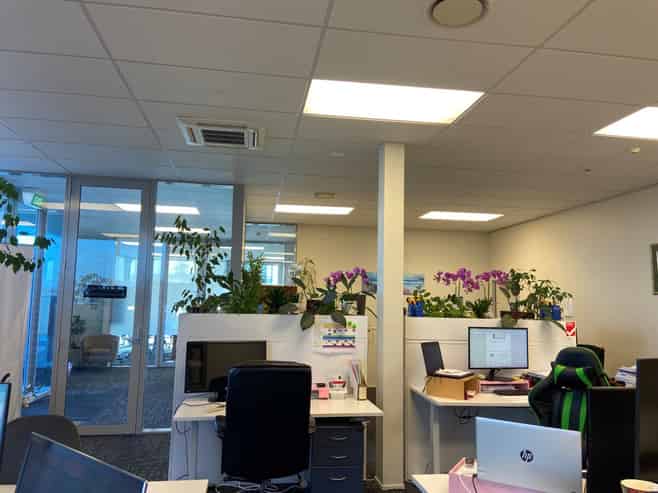 Te Rapa Offices