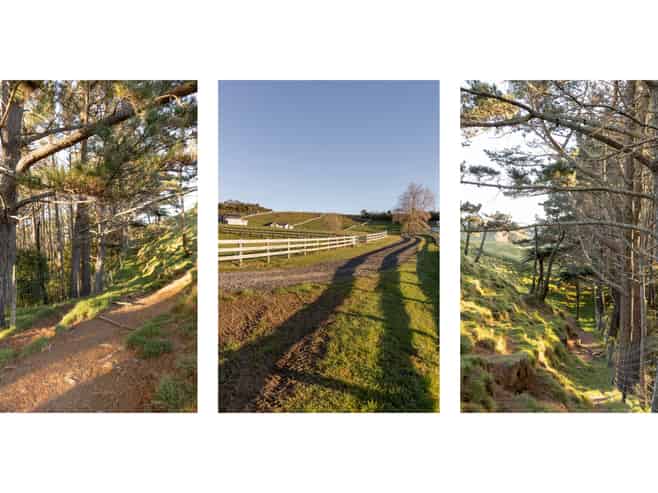 15D Junction Road (Lot 10), Te Puna