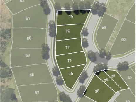 Lot 78 Golden Elm Rise, Toi Toi