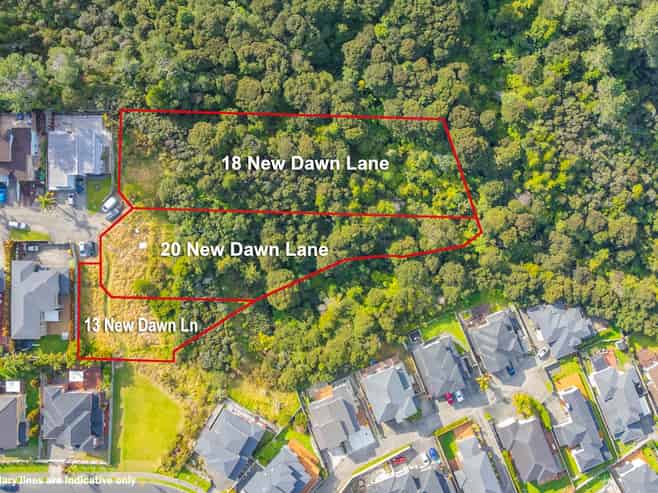 13 New Dawn Lane, Albany Heights