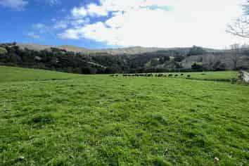 1149 Whangaripo Valley Road, Whangaripo