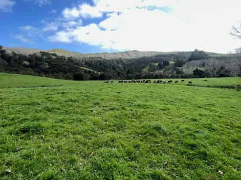 1149 Whangaripo Valley Road, Whangaripo
