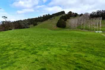 1149 Whangaripo Valley Road, Whangaripo