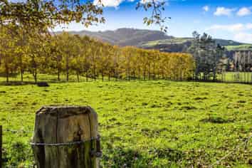 1149 Whangaripo Valley Road, Whangaripo