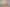 (lower uni/539 Featherston Street, Roslyn