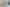 (lower uni/539 Featherston Street, Roslyn