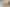 (lower uni/539 Featherston Street, Roslyn
