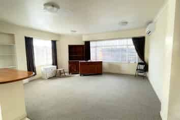(lower uni/539 Featherston Street, Roslyn