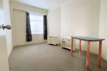 (lower uni/539 Featherston Street, Roslyn