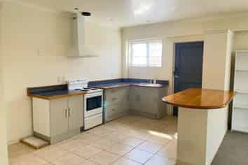 (lower uni/539 Featherston Street, Roslyn