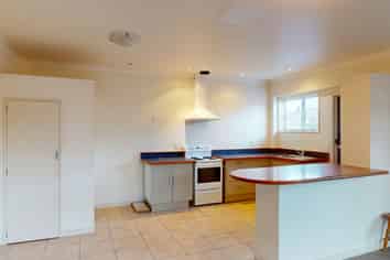(lower uni/539 Featherston Street, Roslyn