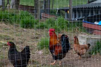 2411 State Highway 30, Atiamuri