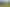 113 Squadron Drive, Hobsonville