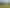 113 Squadron Drive, Hobsonville