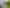 113 Squadron Drive, Hobsonville