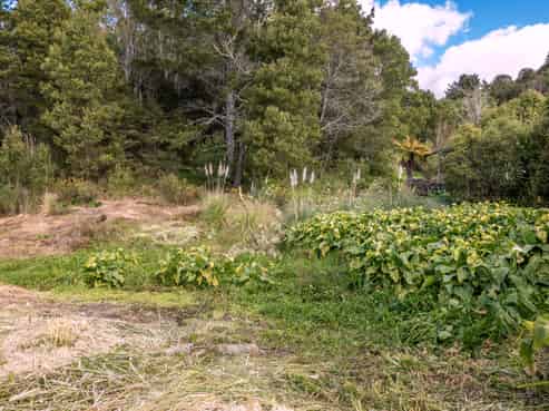 0/13 & 13 Starr Street, Huntly