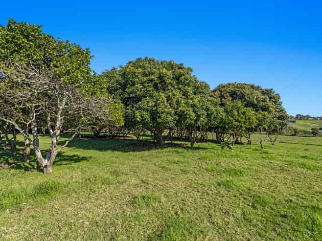 64 Grant Road, Opotiki