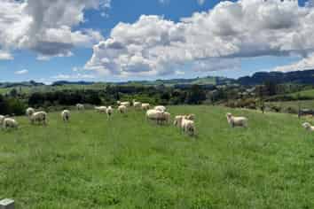 120C Bulltown Road, Waihi