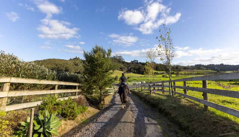 719 Waikare Road, Kawakawa