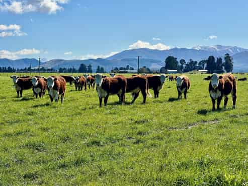 231 Keens Road, Sheffield