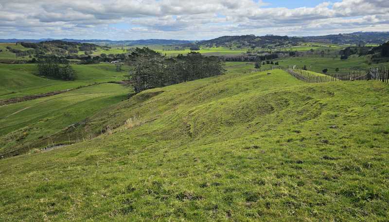113C Marua Road, Hikurangi