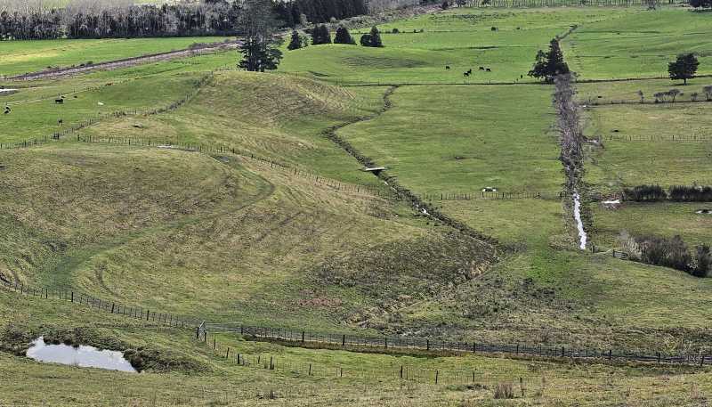 113C Marua Road, Hikurangi