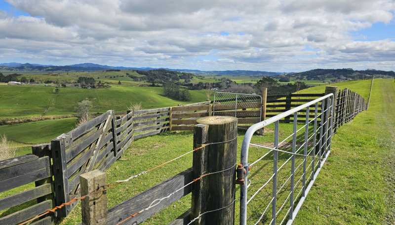 113C Marua Road, Hikurangi