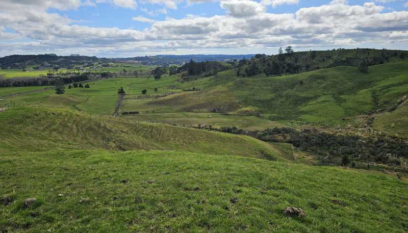 113C Marua Road, Hikurangi