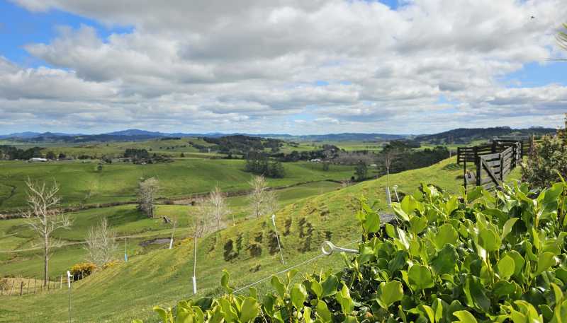 113C Marua Road, Hikurangi