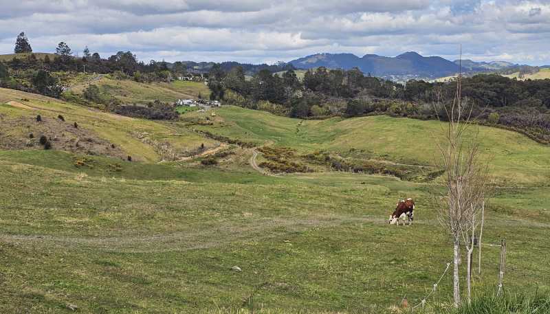 113C Marua Road, Hikurangi