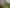 109 Tasman Street, The Wood