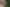 Central North Island - Address withheld