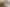 Central North Island - Address withheld