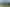 Hawkes Bay - Address withheld