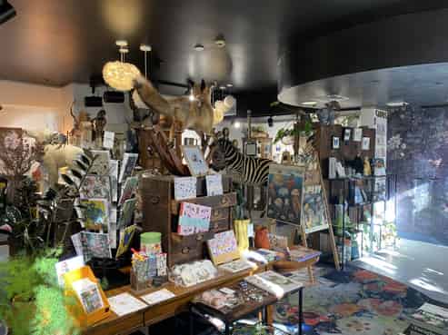 Bold Retail Location, Queenstown CBD