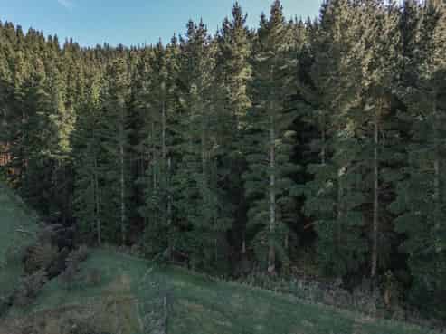 245 Sladdens Bush Road, Oxford