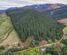 245 Sladdens Bush Road, Oxford, Waimakariri, Canterbury