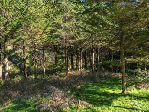 245 Sladdens Bush Road, Oxford