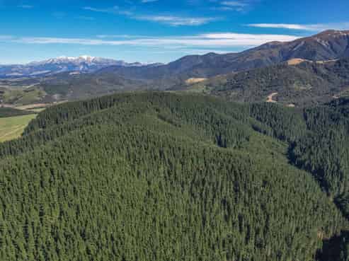 245 Sladdens Bush Road, Oxford