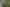 58 Jickell Street, Hokowhitu