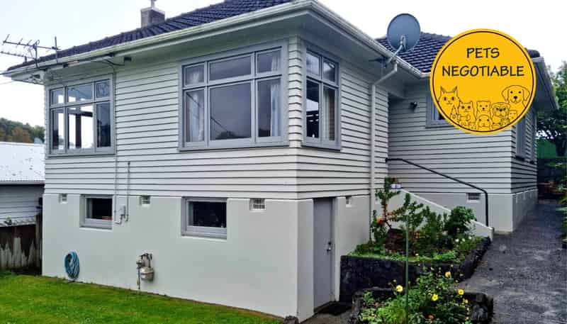 26 Downe Street, New Plymouth Central