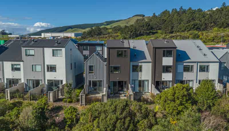 40 Ara Paiwhenua, Tawa