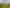 235 Pages Road, Gleniti