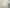 74 Albert Street, Palmerston North