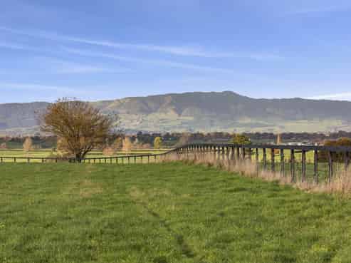 Lot 4 110 Matai Road, Matamata