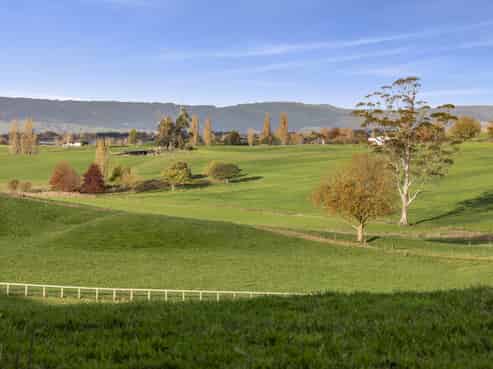 Lot 4 110 Matai Road, Matamata