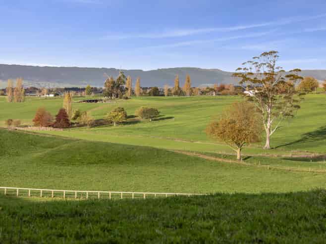 Lot 4 110 Matai Road, Matamata