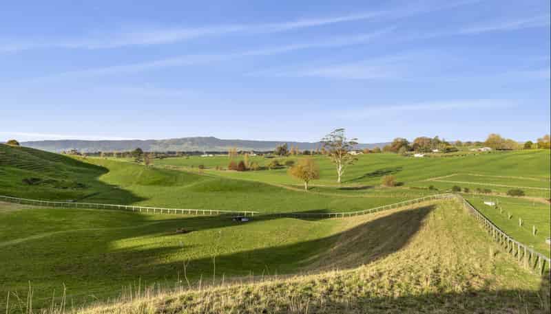 Lot 4 110 Matai Road, Matamata
