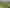 Lot 4 110 Matai Road, Matamata